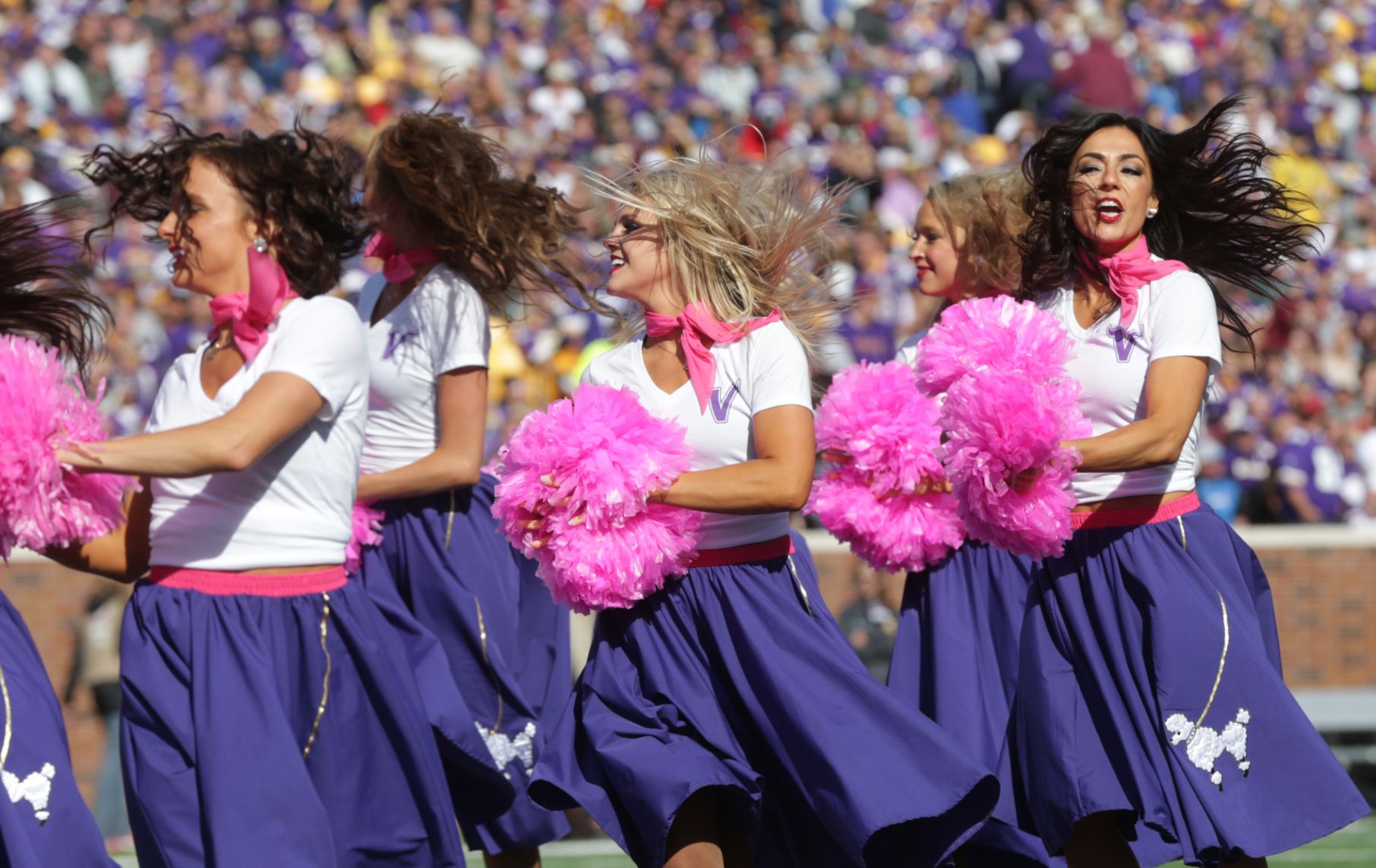 Lions Vikings Football